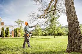 Best Lawn Disease Treatment  in Independence, OH