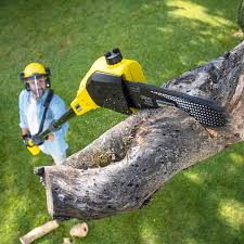 Best Soil Testing and Treatment  in Independence, OH