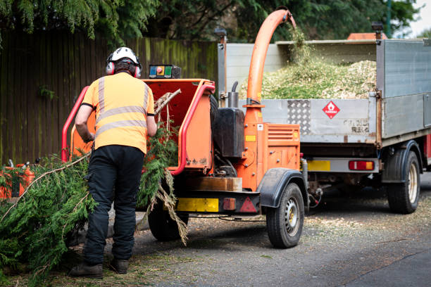 Best Leaf Removal  in Independence, OH