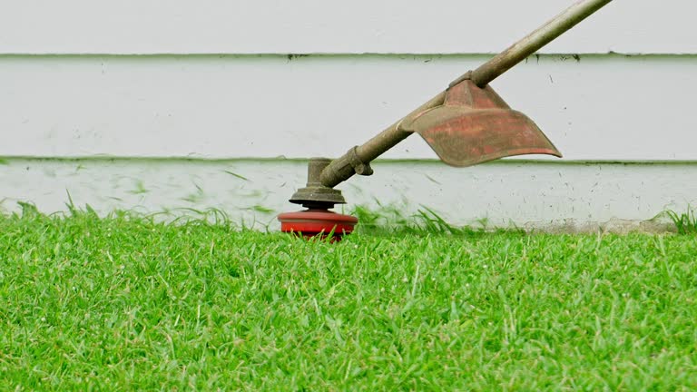 Best Sod Installation  in Independence, OH