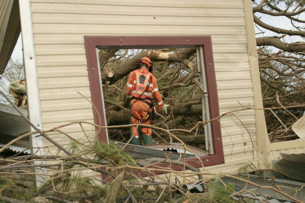 Best Tree Health Inspection  in Independence, OH